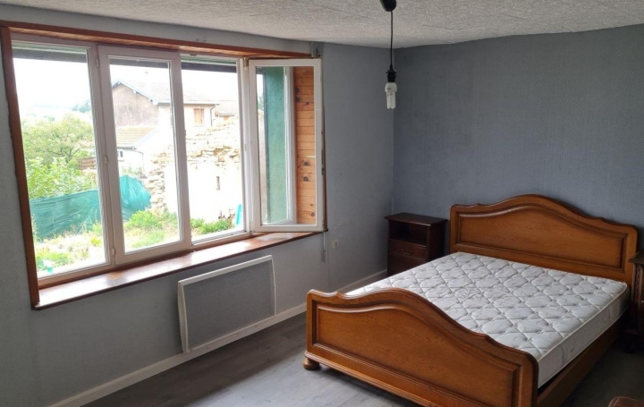 Maison DIEUZE (57260)  136 m2 60 000 € 