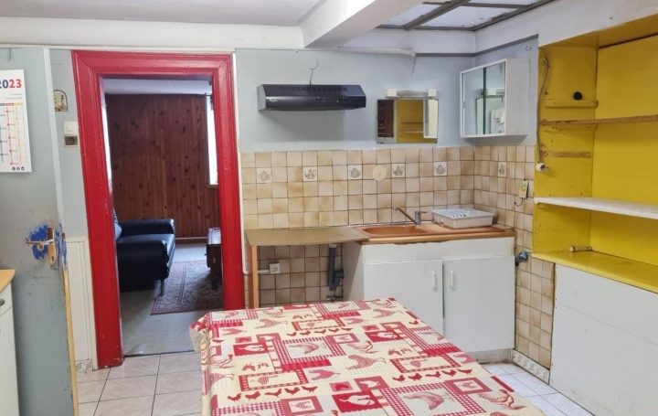 Maison DIEUZE (57260)  136 m2 60 000 € 