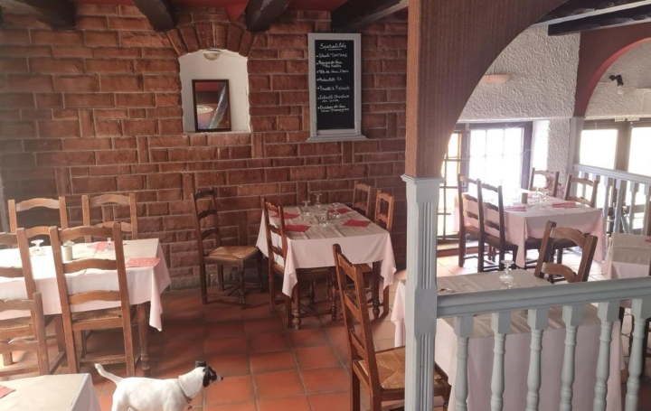 Local commercial DIEUZE (57260)  574 m2 60 000 € 