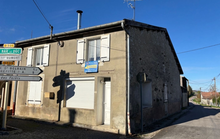 Réseau Immo-diffusion : Maison de village  VILLOTTE-SUR-AIRE  119 m2 29 900 € 