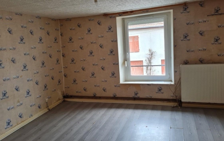 Maison DIEUZE (57260)  112 m2 65 000 € 