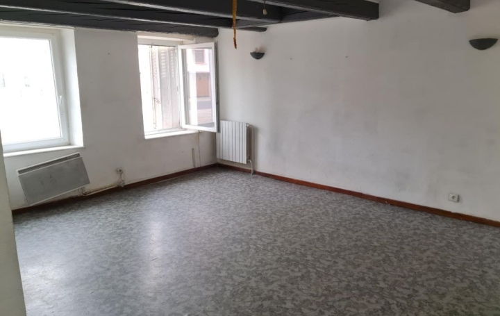 Maison MAIZIERES-LES-VIC (57810)  90 m2 40 000 € 