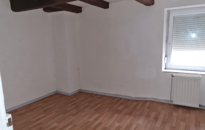 Maison MAIZIERES-LES-VIC (57810)  90 m2 40 000 € 