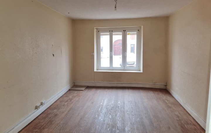 Maison MAIZIERES-LES-VIC (57810)  210 m2 85 000 € 