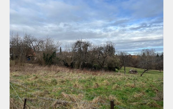 Terrain PETITMONT (54480)   20 000 € 