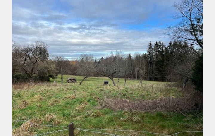 Terrain PETITMONT (54480)   20 000 € 