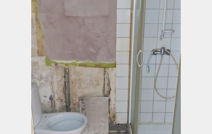 Immeuble CHATEAU-SALINS (57170)  350 m2 172 000 € 