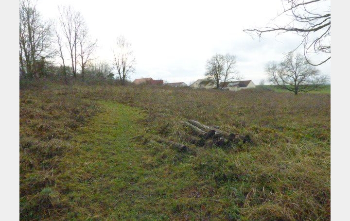 Terrain BLAMONT (54450)   27 500 € 