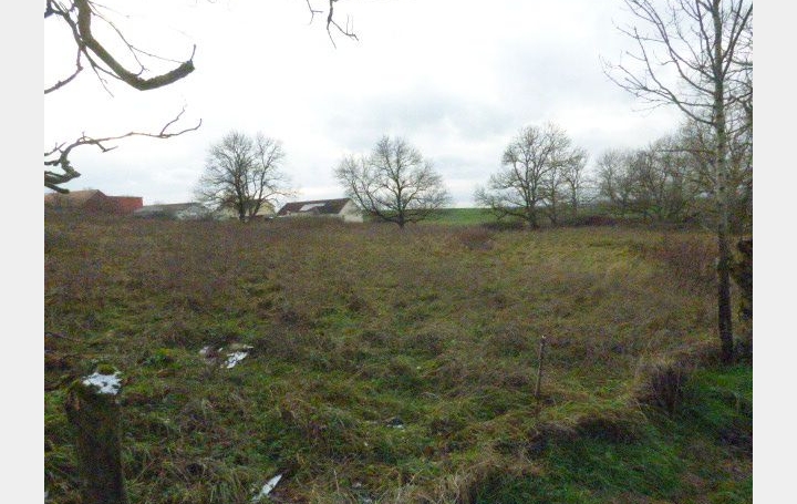Terrain BLAMONT (54450)   27 500 € 