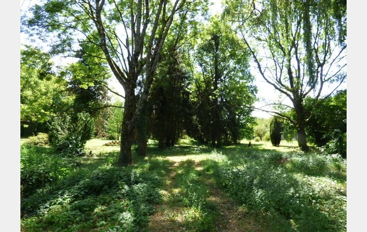 Propriété BLAMONT (54450)  300 m2 315 000 € 