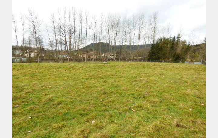 Terrain MOYENMOUTIER (88420)   49 950 € 