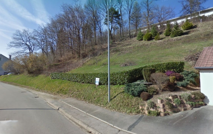 Terrain MOYENMOUTIER (88420)   13 000 € 