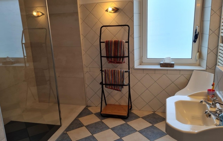 Maison SARREBOURG (57400)  280 m2 365 000 € 