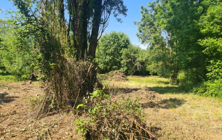 Maison AVRICOURT (54450)  62 m2 39 600 € 