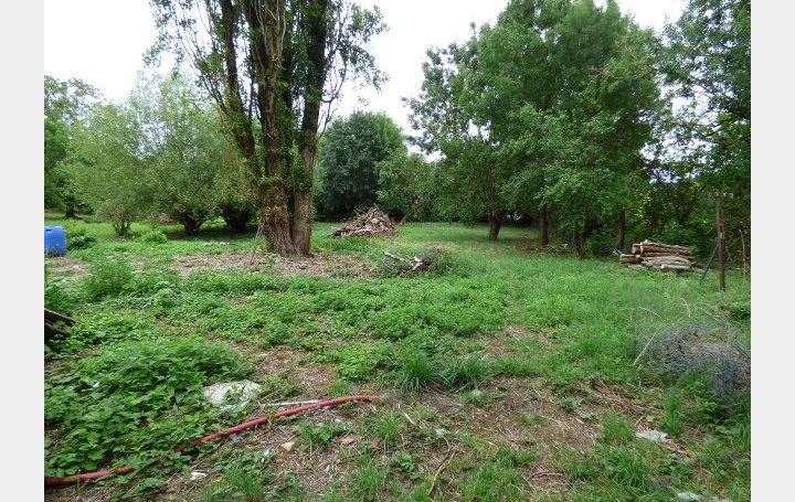 Maison AVRICOURT (54450)  62 m2 39 600 € 