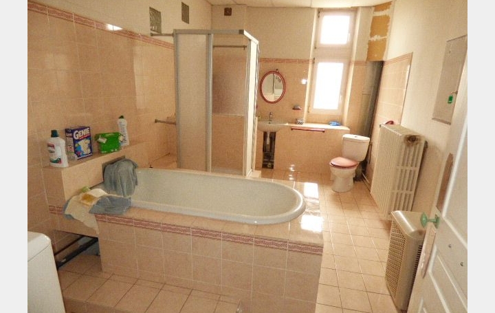 Maison AVRICOURT (57810)  320 m2 199 500 € 