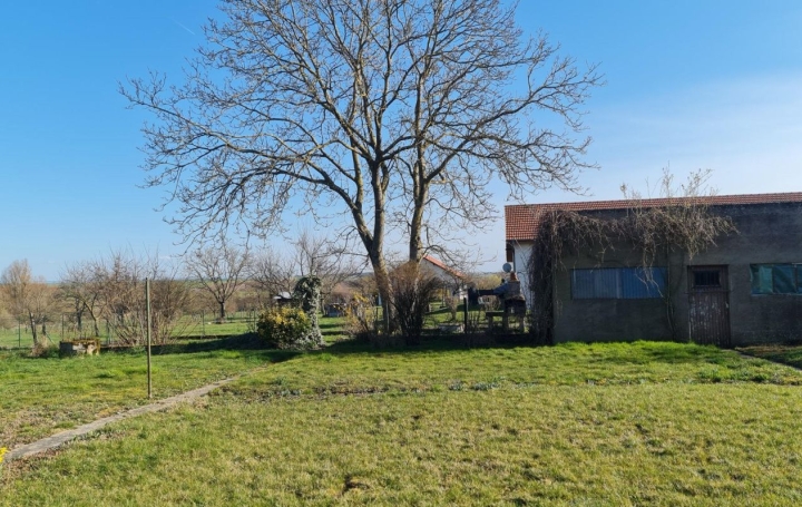 Maison DIEUZE (57260)  107 m2 125 000 € 