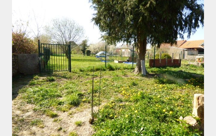 Maison MIGNEVILLE (54540)  165 m2 127 000 € 