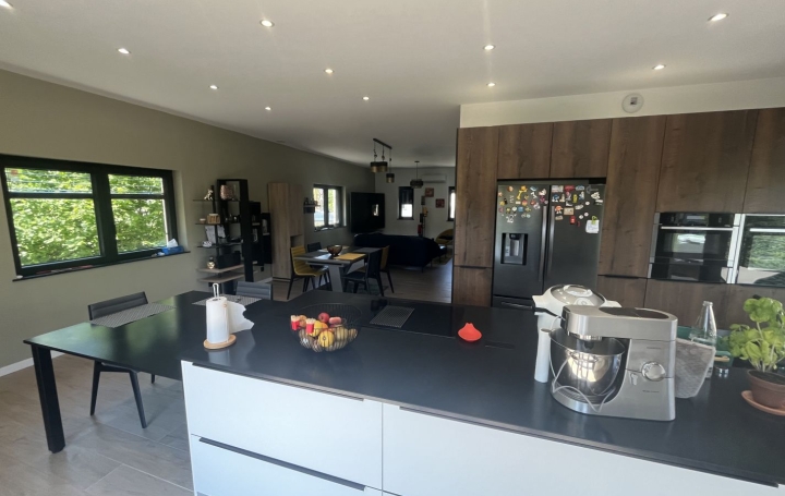 Villa NANCY (54000)  245 m2 515 000 € 