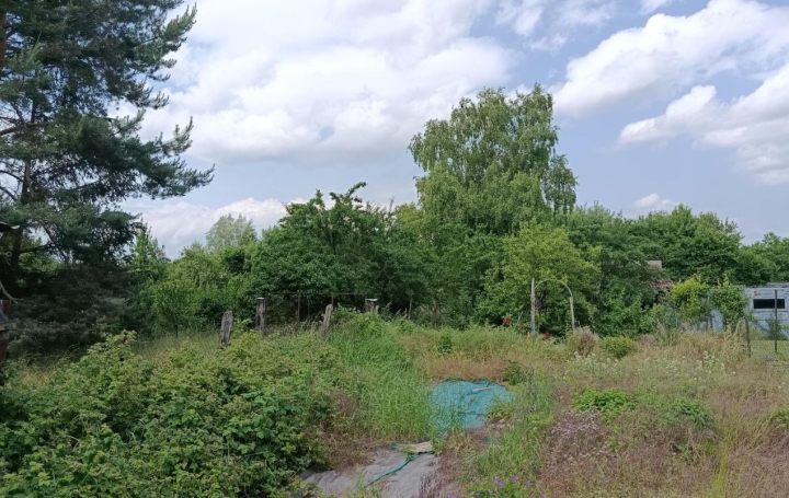 Maison ALBESTROFF (57670)  100 m2 65 000 € 