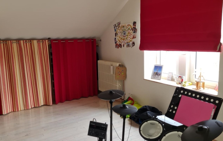 Maison CHATEAU-SALINS (57170)  280 m2 365 000 € 