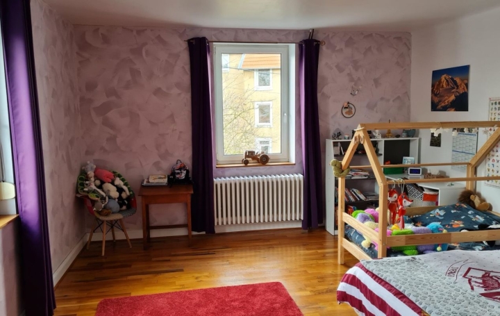 Maison CHATEAU-SALINS (57170)  280 m2 365 000 € 