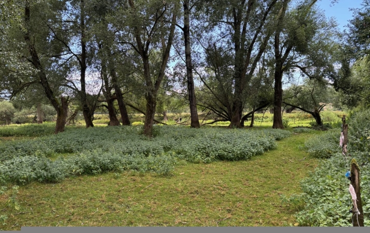 Maison de village MAIZEY (55300)  150 m2 19 000 € 