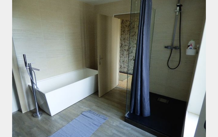 Maison LUNEVILLE (54300)  170 m2 299 900 € 