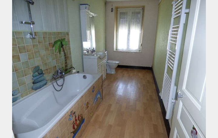 Immeuble AVRICOURT (54450)  316 m2 52 000 € 