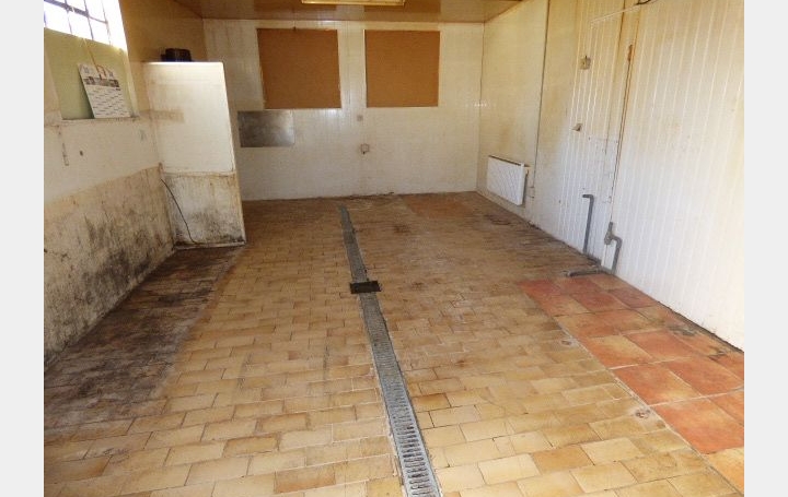 Immeuble AVRICOURT (54450)  316 m2 52 000 € 