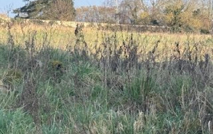 Terrain CIRY-SALSOGNE (02220)  2 100 m2 109 000 € 