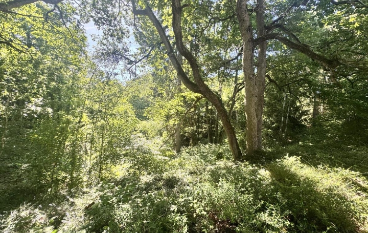 Maison FERE-EN-TARDENOIS (02130)  312 m2 408 000 € 