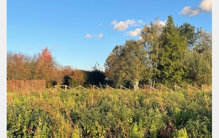 Terrain FEILLENS (01570)   110 € 