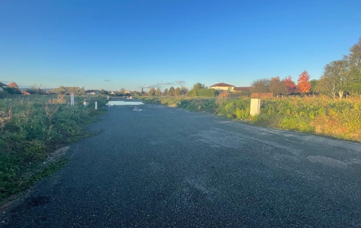 Terrain FEILLENS (01570)   110 € 