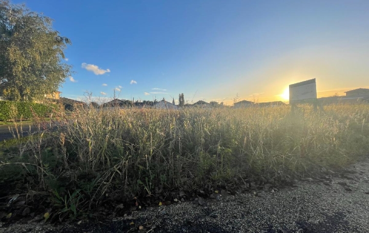 Terrain FEILLENS (01570)   110 € 