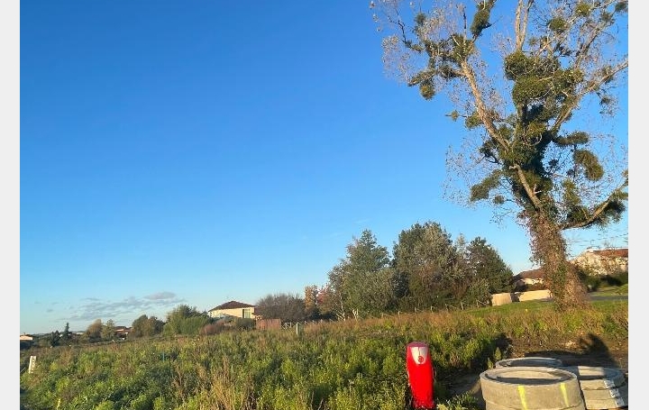 Terrain FEILLENS (01570)   81 810 € 