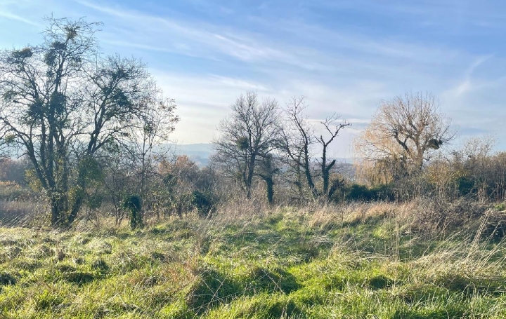 Terrain CHARNAY-LES-MACON (71850)   250 000 € 