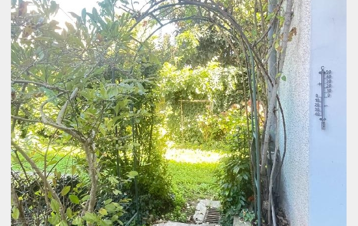 Maison MACON (71000)   397 500 € 