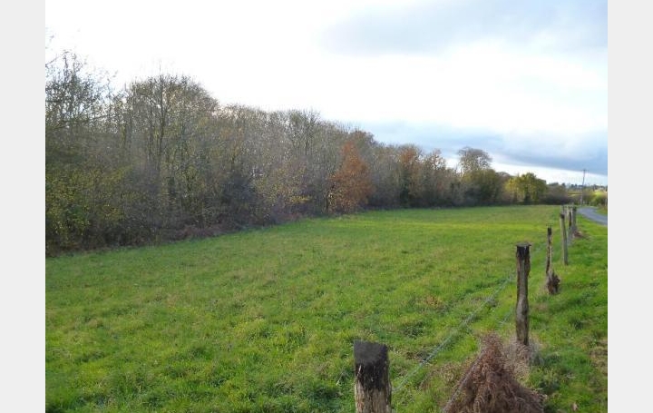 Réseau Immo-diffusion : Terrain  CLECY  30 000 m2 21 000 € 