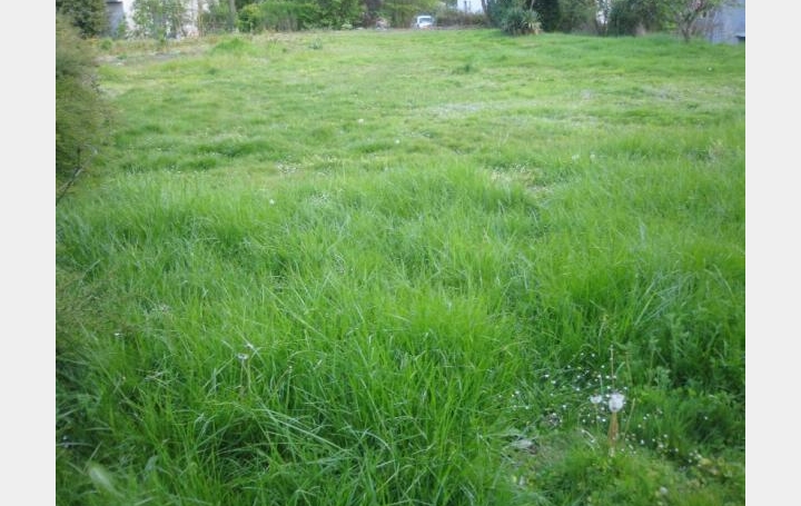 Réseau Immo-diffusion : Terrain  PERIERS-SUR-LE-DAN  1 063 m2 157 900 € 