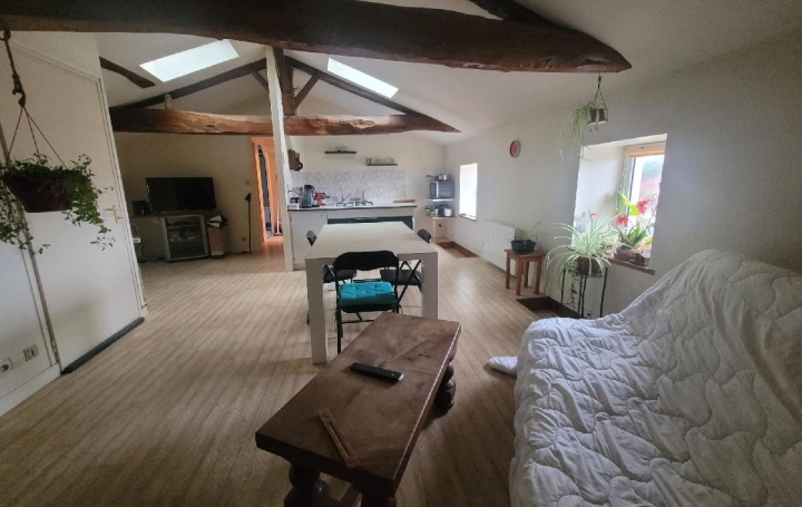Réseau Immo-diffusion : Appartement P2  SAINT-JEAN-D'ANGELY  55 m2 570 € 