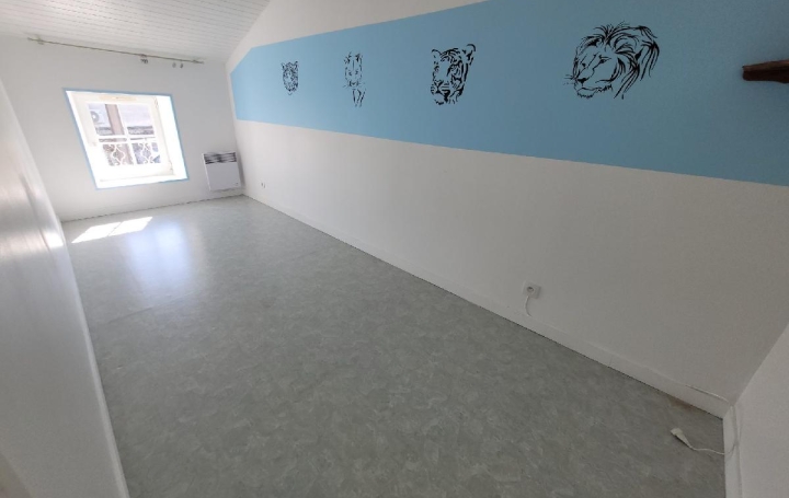 Maison CHANTEMERLE-SUR-LA-SOIE (17380)  101 m2 780 € 