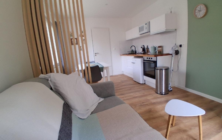 1 Pièce SAINT-JEAN-D'ANGELY (17400)  18 m2 550 € 
