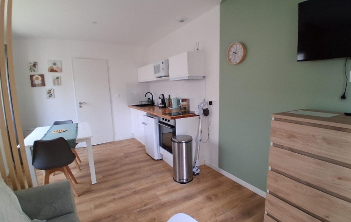 1 Pièce SAINT-JEAN-D'ANGELY (17400)  18 m2 550 € 