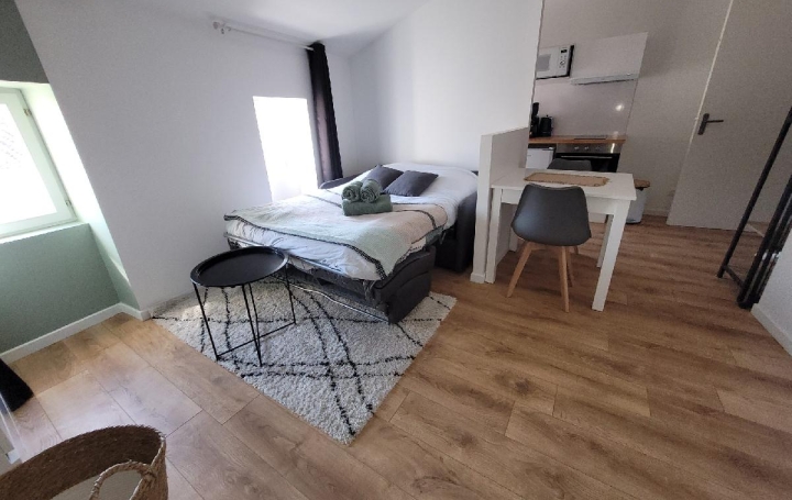 Appartement SAINT-JEAN-D'ANGELY (17400) 23 m<sup>2</sup> 450 € 