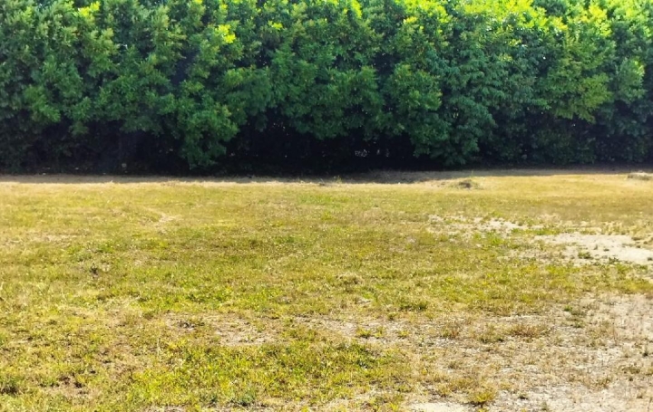 Terrain MARSAIS (17700) 625 m<sup>2</sup> 33 000 € 