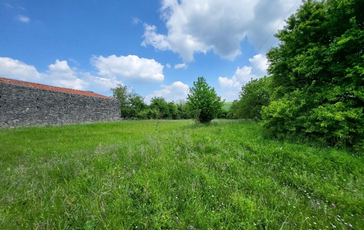 Terrain LOZAY (17330)  3 014 m2 30 000 € 