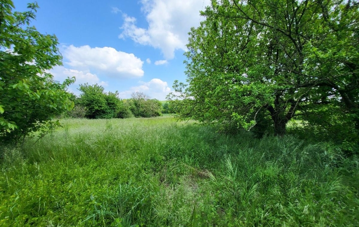 Terrain LOZAY (17330)  3 014 m2 30 000 € 