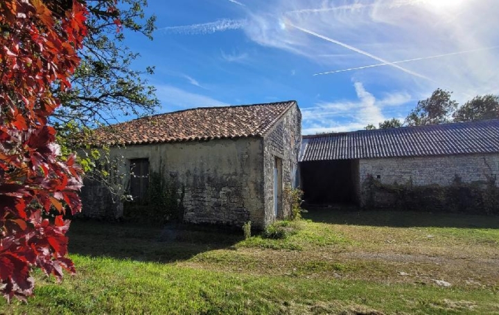 Maison / Villa NERE (17510) 350 m<sup>2</sup> 38 900 € 