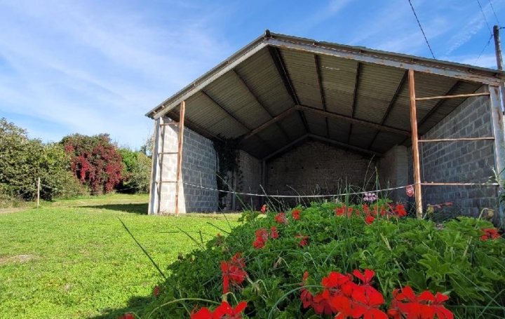 Maison NERE (17510)  350 m2 38 900 € 